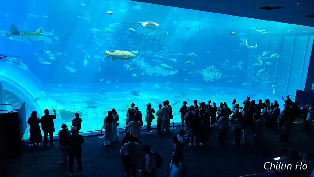 沖縄美ら海水族館